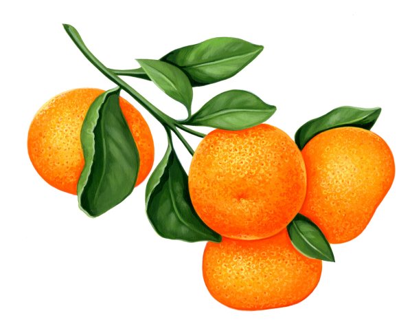 Мандарин для детей