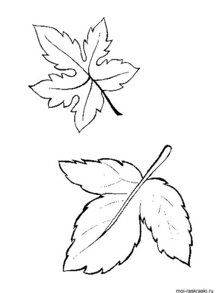 Лист смородины контур