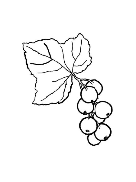 Кисть Рябинки гроздь Калинки