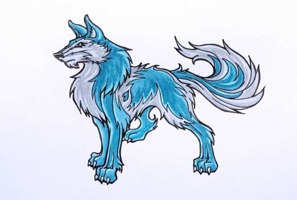 Рисунок волка для срисовки