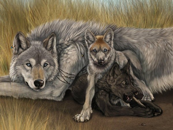 Оборотни Волчья стая