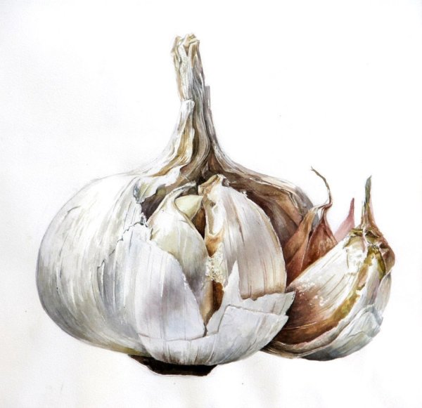 Чеснок мультяшный