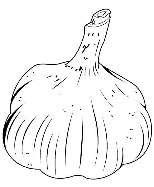 Чеснок карандашом