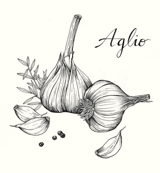 Нарисовать чеснок