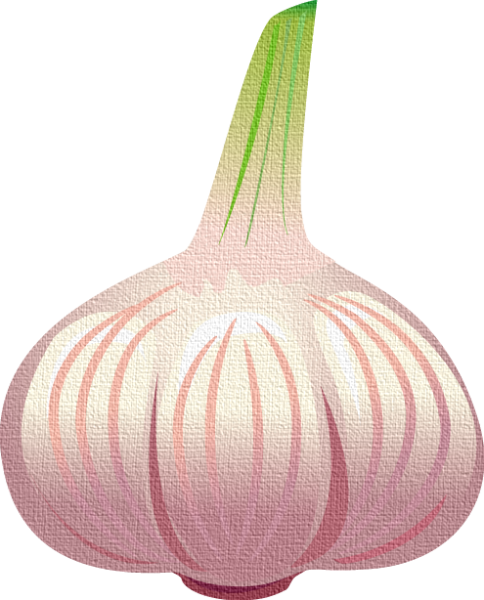 Чеснок для детей