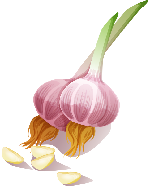 Фрукты карандашом