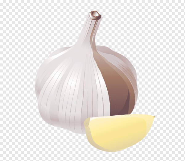 Чеснок картинка для детей