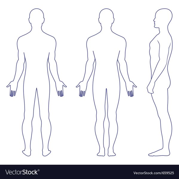 Силуэт тела человека
