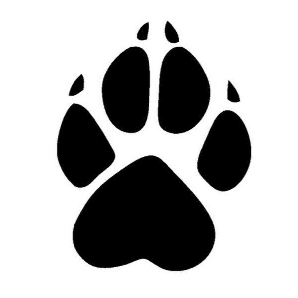 След собачьей лапы