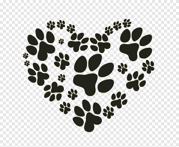 Собачья лапка