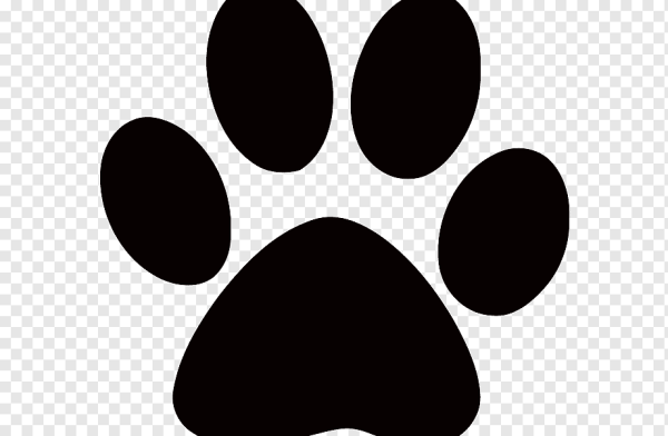 Лапка силуэт