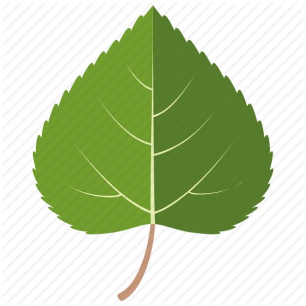 Листок раскраска для детей