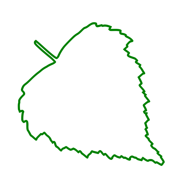 Лист березы контур