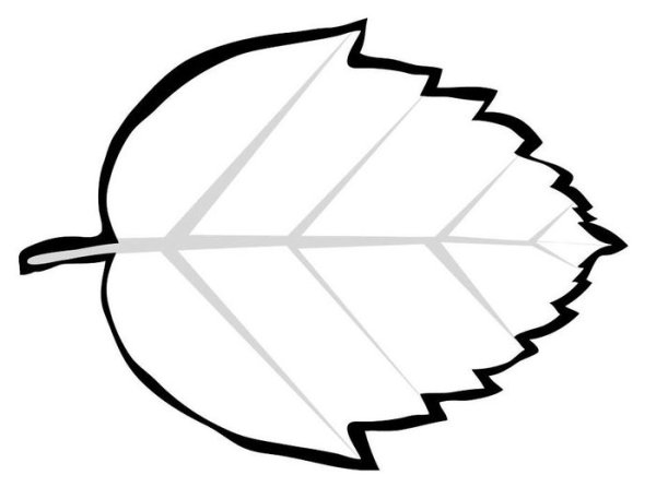 Лист березы для детей