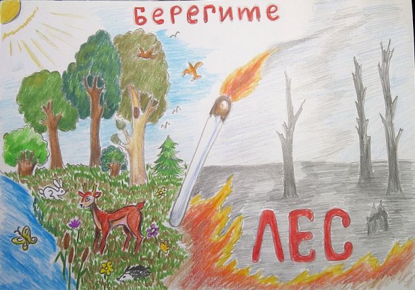 Берегите лес от пожара рисунки