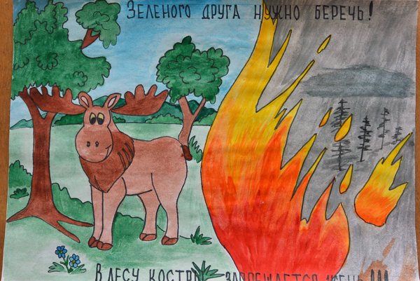 Рисунок на тему береги лес