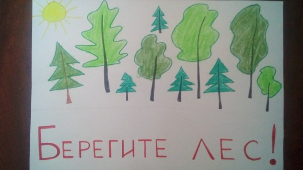 Берегите лес
