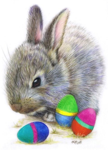 Заяц цветными карандашами