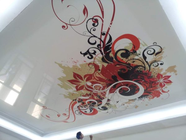 Потолки с фотопечатью в зал