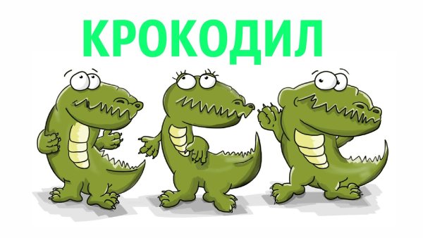 Крокодильчик маленький морда спереди