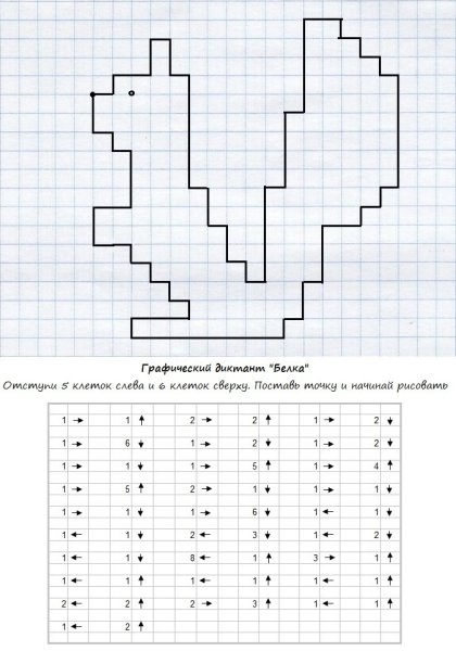 Графический диктант белка по клеточкам для дошкольников