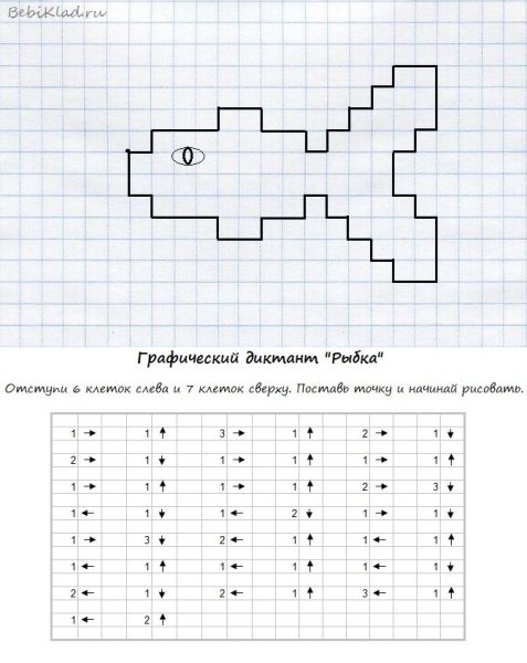 Графический диктант белка по клеточкам для дошкольников