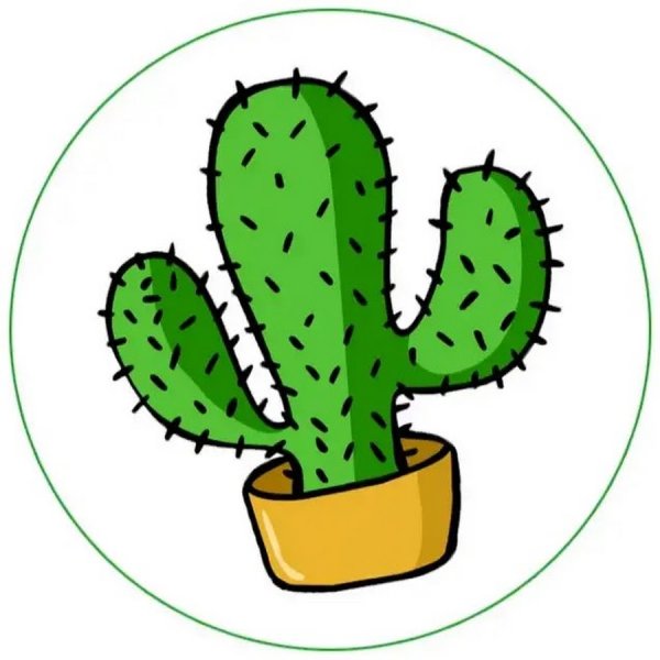 Кактус рисунок для детей