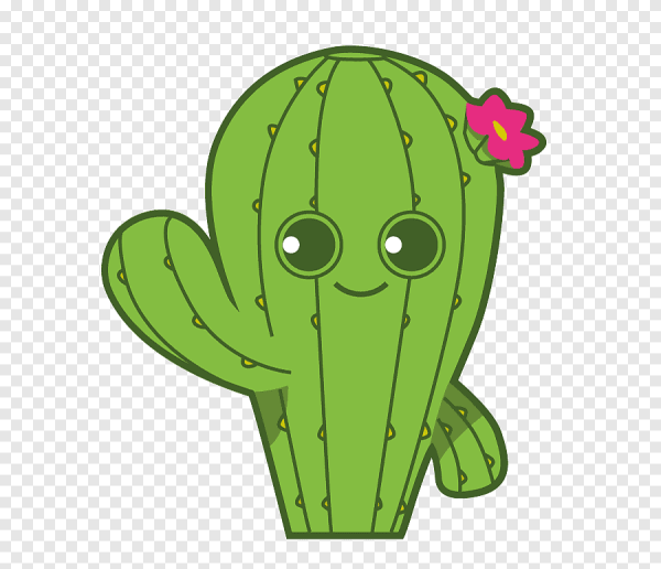 Кактус улыбается