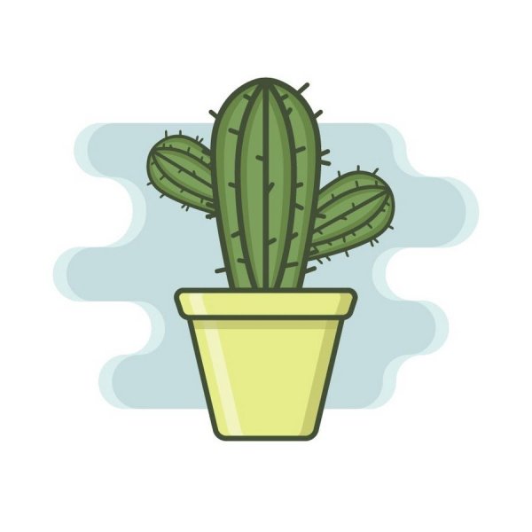 Кактус рисунок