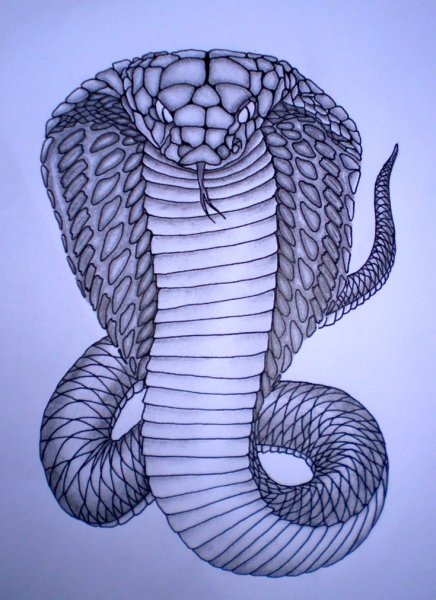 Змея карандашом