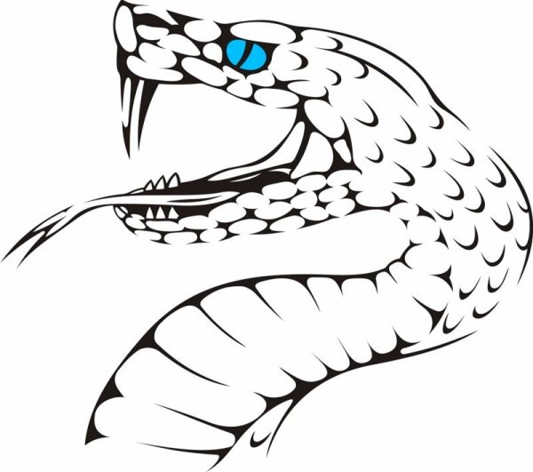 Векторное изображение змеи