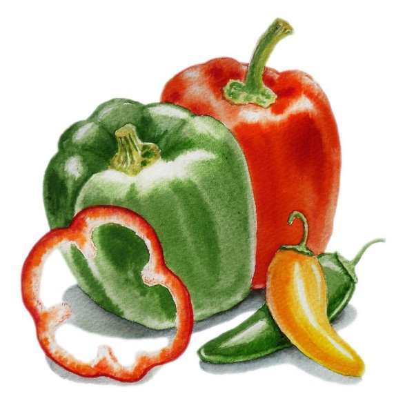 Акварель овощи перец болгарский