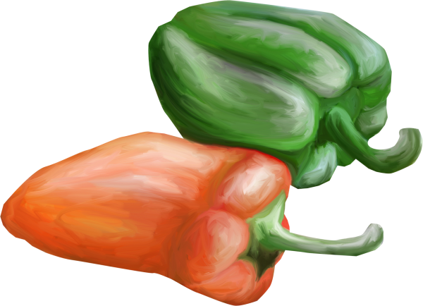 Перец иллюстрация