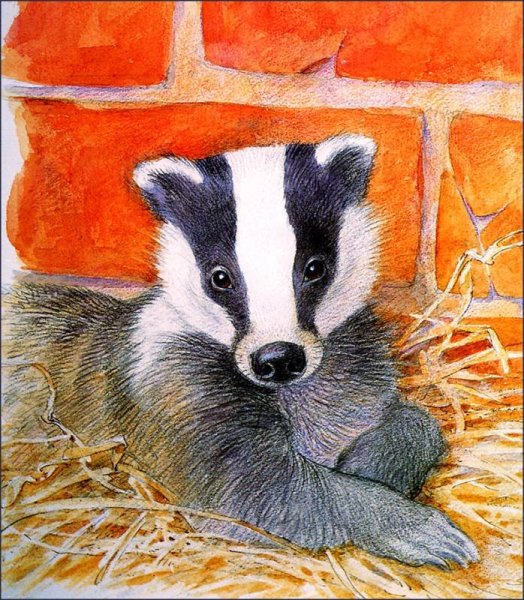 Барсук с барсучатами для детей