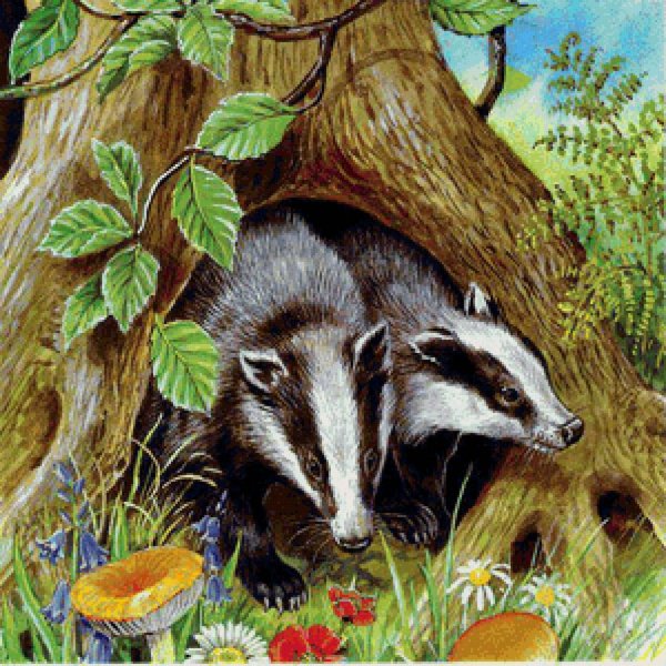 Барсук с барсучатами для детей