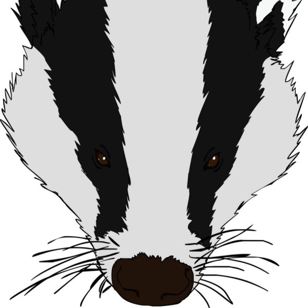 Маска барсука