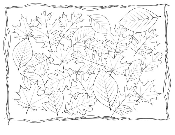 Рисование осенних листьев