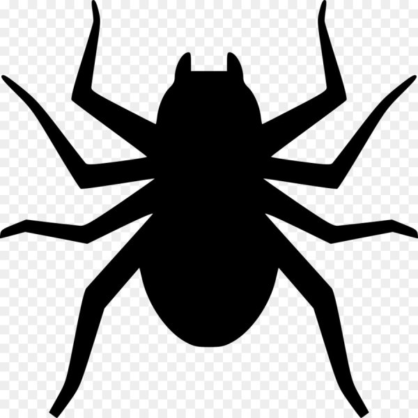 Паук черно белый