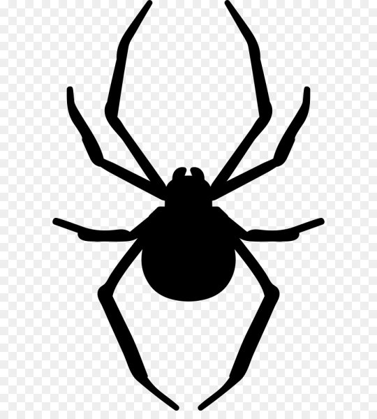 Паук трафарет