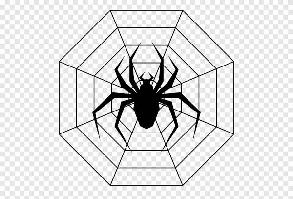 Паук схематично