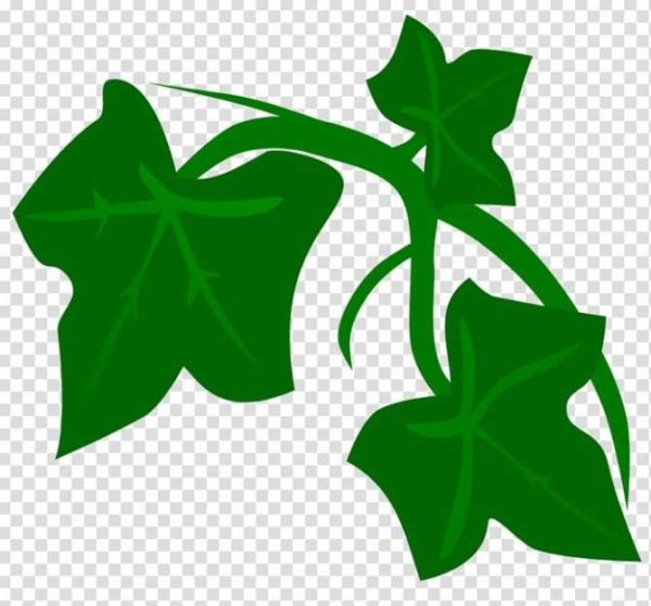 Ядовитый плющ значок