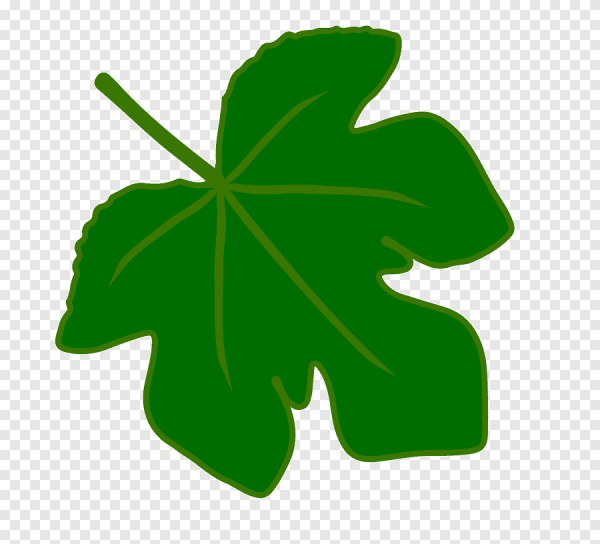 Маленькие листики