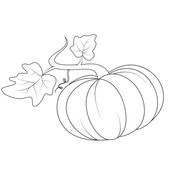 Лист тыквы раскраска