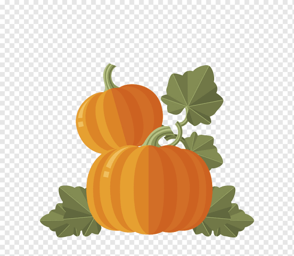 Тыква с листочком