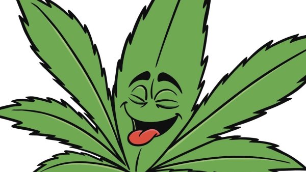 Конопля рисунок