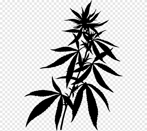 Тату конопляный лист эскиз