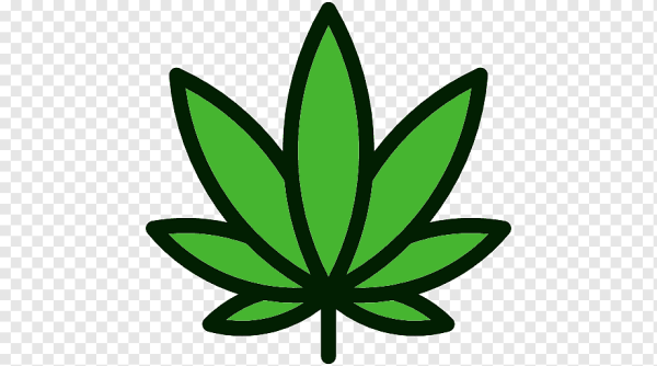 Cannabis рисунок