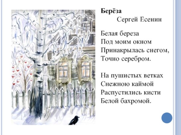 Нарисовать белую березу под моим окном