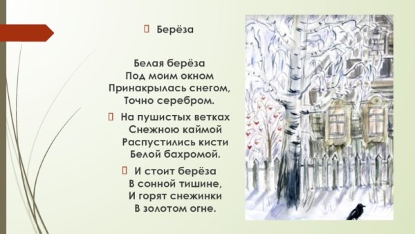 Зимние деревья