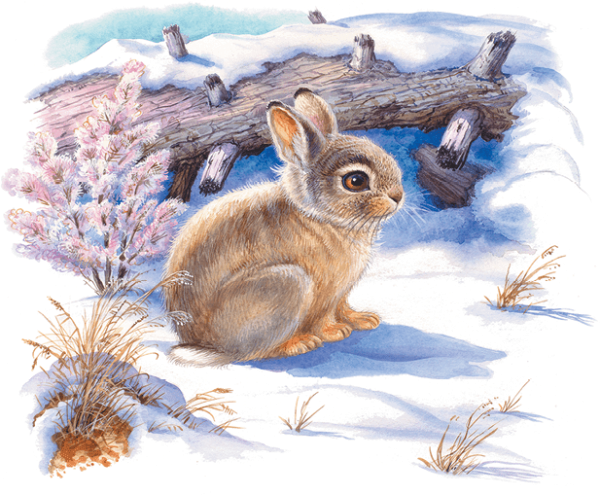 Лесная газета рисунок